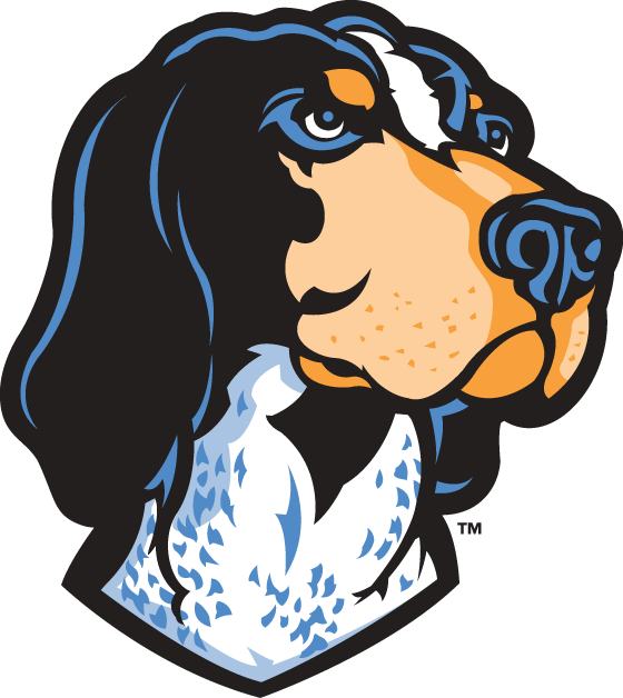 Tennessee Volunteers 2005-Pres Mascot Logo v2 diy fabric transfers